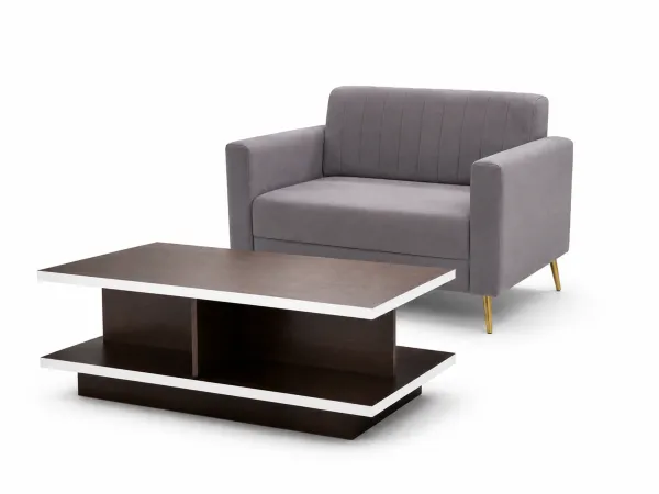 Tulip Sofa 2 Seater Grey Color With Rio Centre table